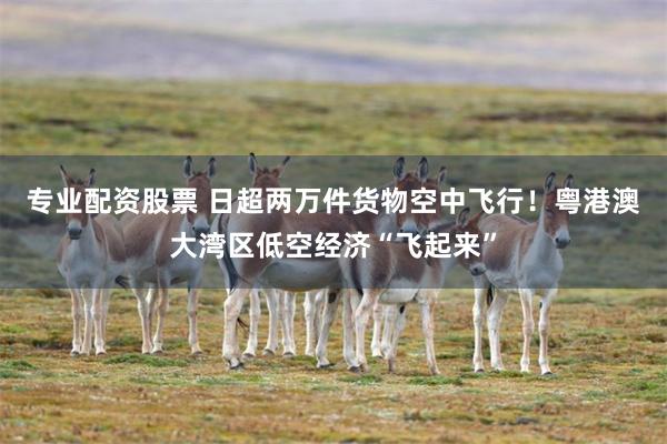 专业配资股票 日超两万件货物空中飞行！粤港澳大湾区低空经济“飞起来”