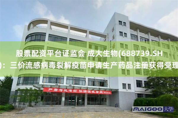 股票配资平台证监会 成大生物(688739.SH)：三价流感病毒裂解疫苗申请生产药品注册获得受理